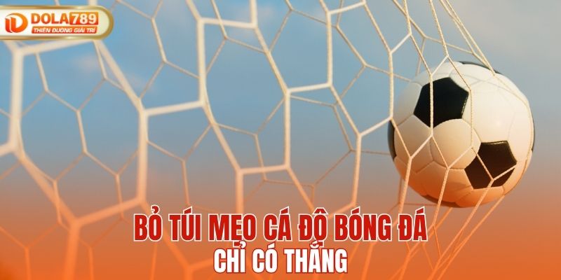 Bỏ túi mẹo cá độ bóng đá chỉ có thắng