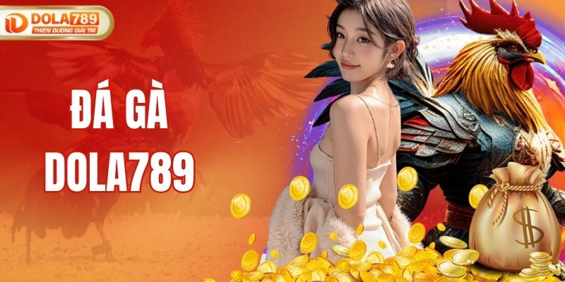 Đá Gà DOLA789 - Sảnh Game Hiện Đại An Toàn Và Uy Tín