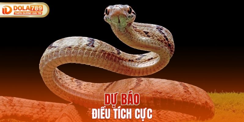 Dự báo điều tích cực
