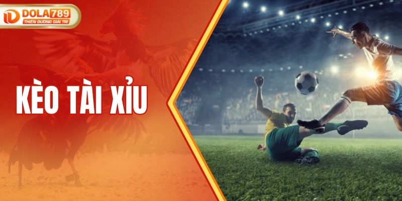 Khám Phá Kèo Tài Xỉu Và Bí Quyết Dự Đoán Chuẩn Xác 100%