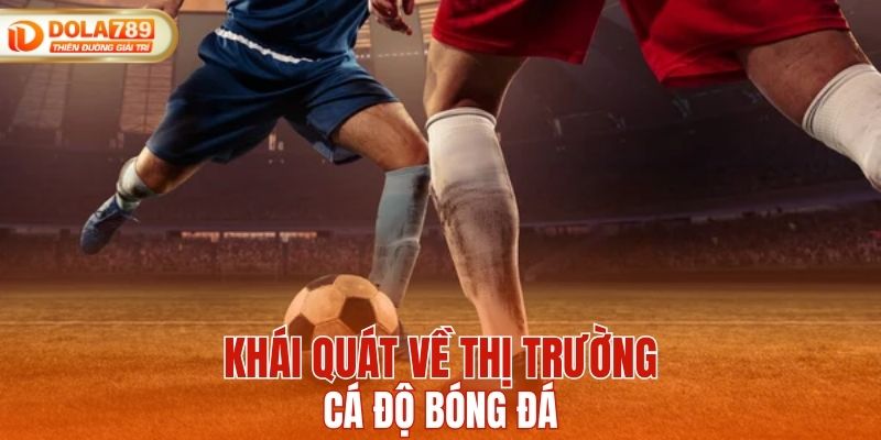 Khái quát về thị trường cá độ bóng đá